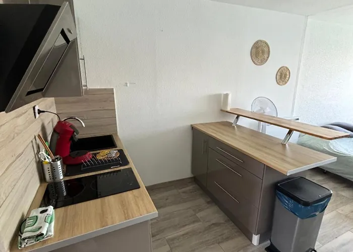 Apartament Vue Ile Des Pecheurs Agde