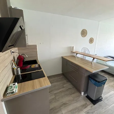 Appartement Vue Ile Des Pecheurs Agde